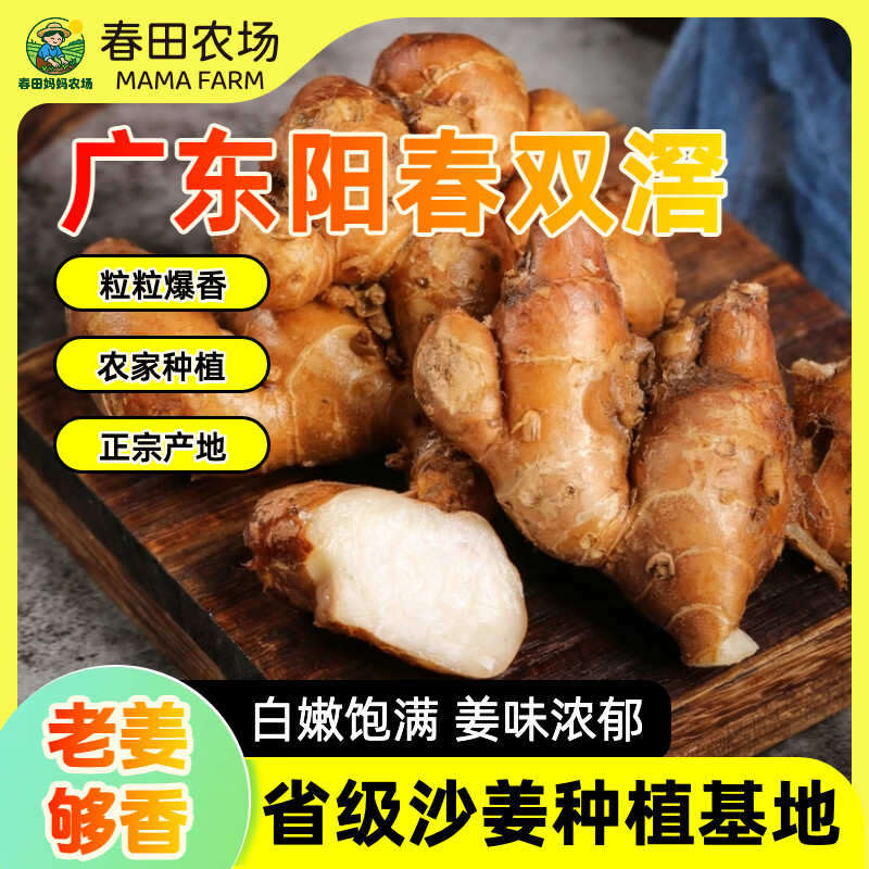 【沙姜之乡】广东特产正宗阳春双滘新鲜沙姜调味提鲜增香双窖山奈 广东省级沙姜种植基地甄选 【1斤尝鲜装】姜味浓郁，来自深山老林