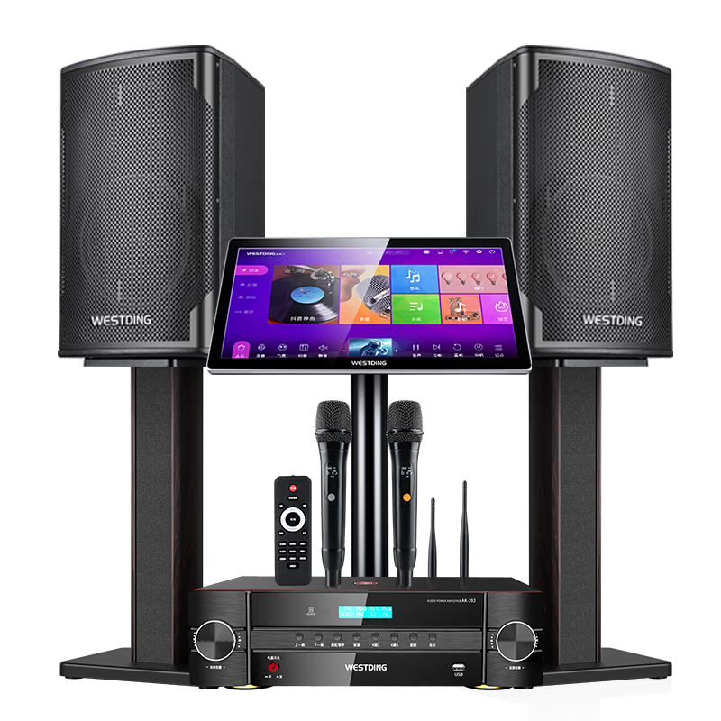 威斯汀音響家庭ktv唱歌全套設(shè)備 卡拉ok點歌機語音點唱 客廳會議10吋號角專業(yè)豎箱套裝天悅+一體機