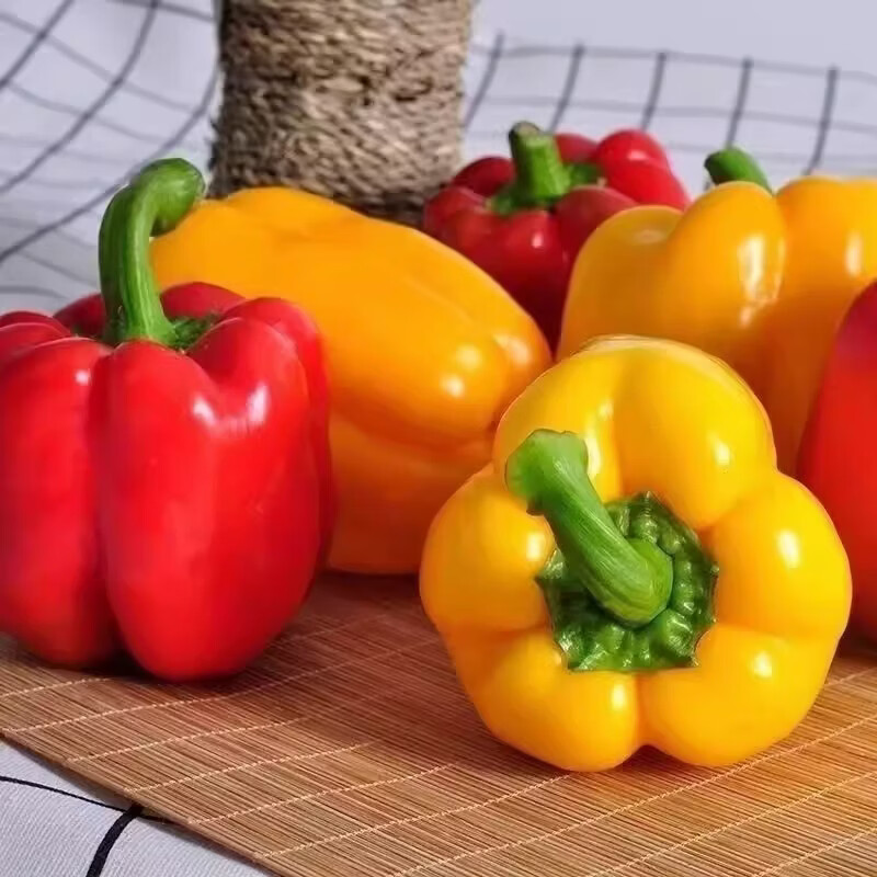 绿熊庄园山东彩椒 甜椒 新鲜蔬菜五彩椒寿光蔬菜不辣水果柿子椒红黄灯笼椒 红黄双拼3斤装 净重2.8斤