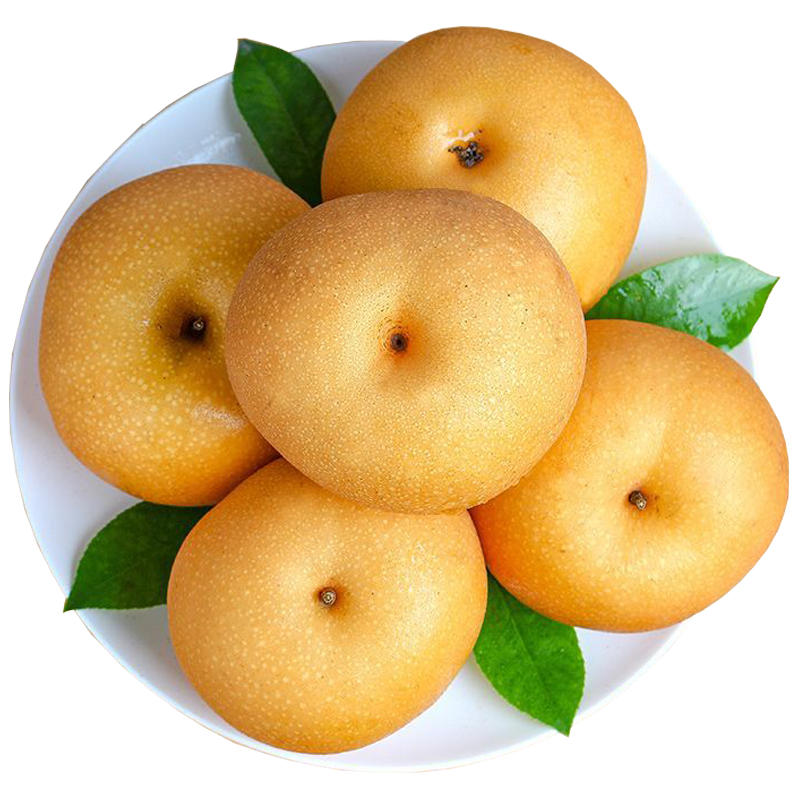 ɽ������������ ������ǻ����� ����ˮ�� ����1��1-3��С�� 0.9Ԫ