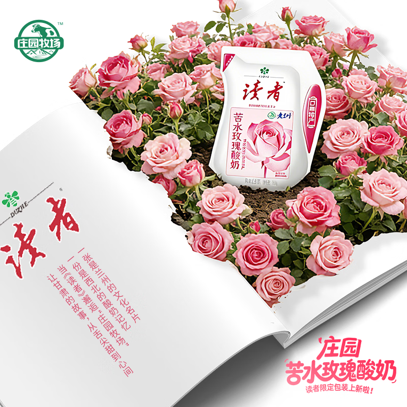 庄园牧场读者联名 苦水玫瑰酸奶180g*6袋 甘肃特产低温酸奶 源头直发包邮