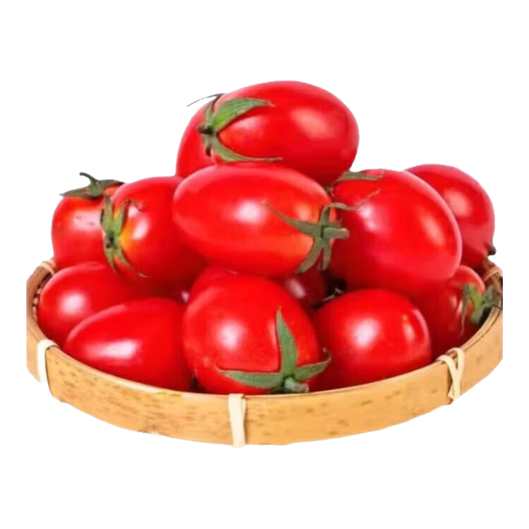 ���װ��ɫʥŮ�� 2����� 7.99Ԫ