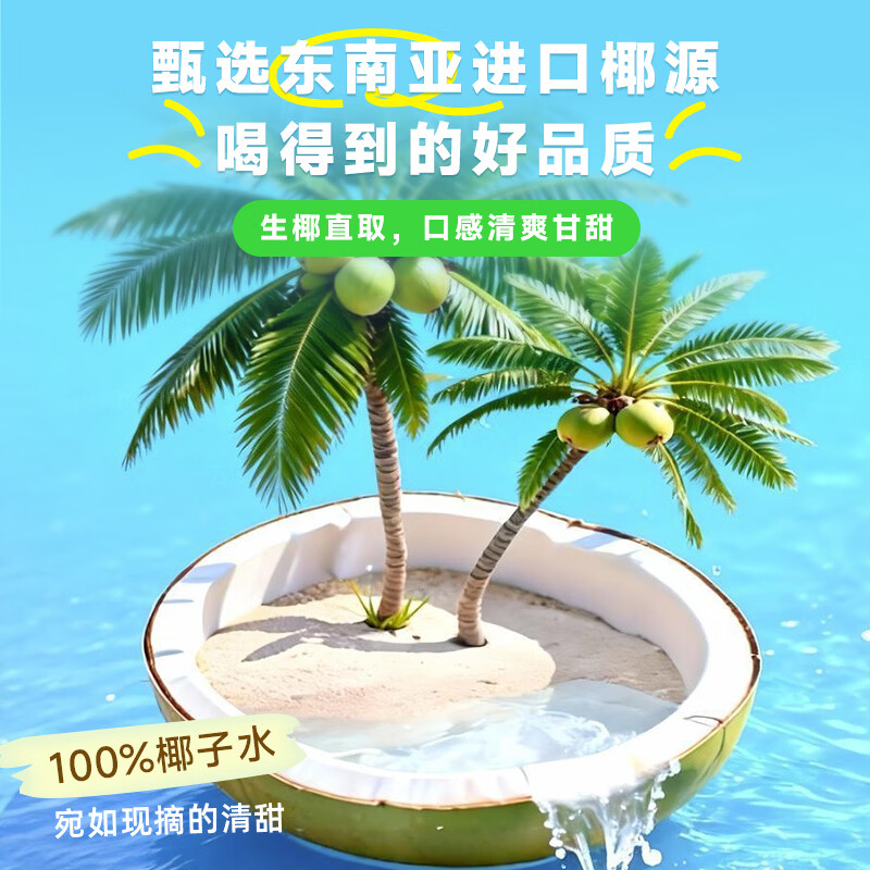 鲜汁美100%椰子水果汁饮料0脂肪天然电解质果蔬汁饮品整箱 100%椰子水400ml*12瓶