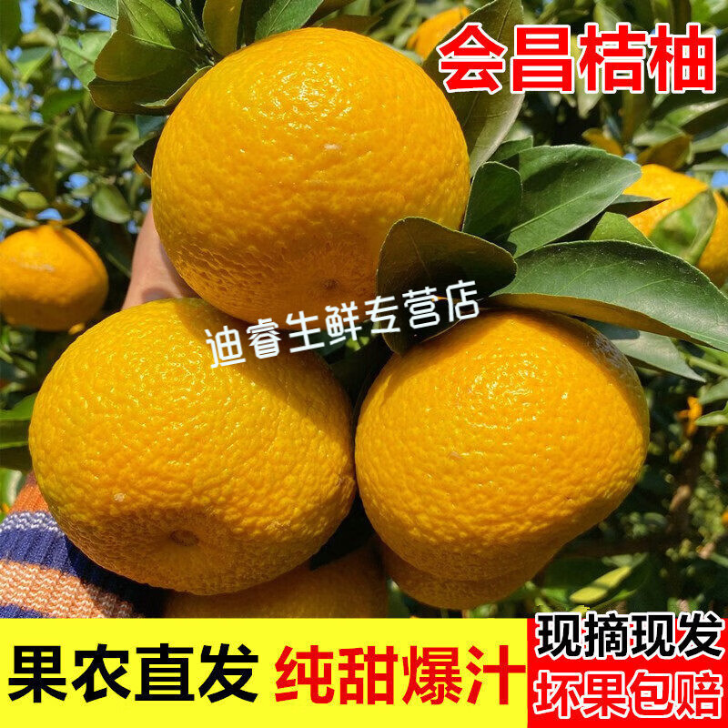 桃西村正宗江西會(huì)昌桔柚產(chǎn)地直發(fā)贛南橘柚甜桔柚孕婦水果清甜爽口桔柚 5斤 小果【初次嘗鮮】