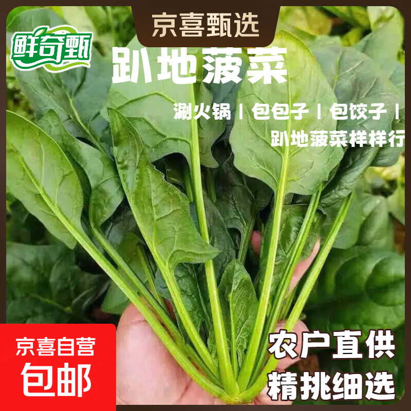 趴地菠菜霜打露天现挖农家菠菜涮火锅炒菜做汤新鲜菠菜3斤 250克尝鲜装【够吃两顿】 京东快递-更快更好