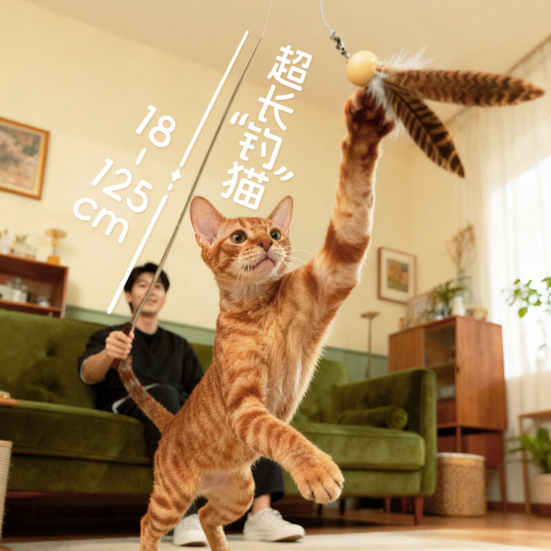 all for paws仿真昆虫逗猫棒 猫咪玩具耐咬抖猫自嗨替换头耐啃咬解闷神器 【可伸缩逗猫杆】棕色鸭毛