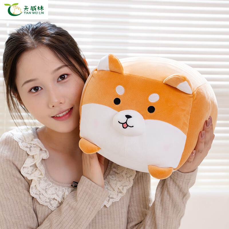 天威林方块狗抱枕毛绒玩具柴犬狗公仔玩偶男女生床上靠垫枕头娃娃 方块柴犬狗 长度22cm左右