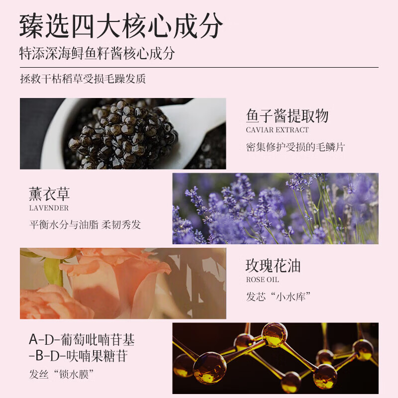 三个魔发匠防脱洗发水可比落精华洗发露控油去屑侧柏叶生姜洗头膏男女士 防脱精华洗发乳480ml+双酸柔肤沐浴露500ml