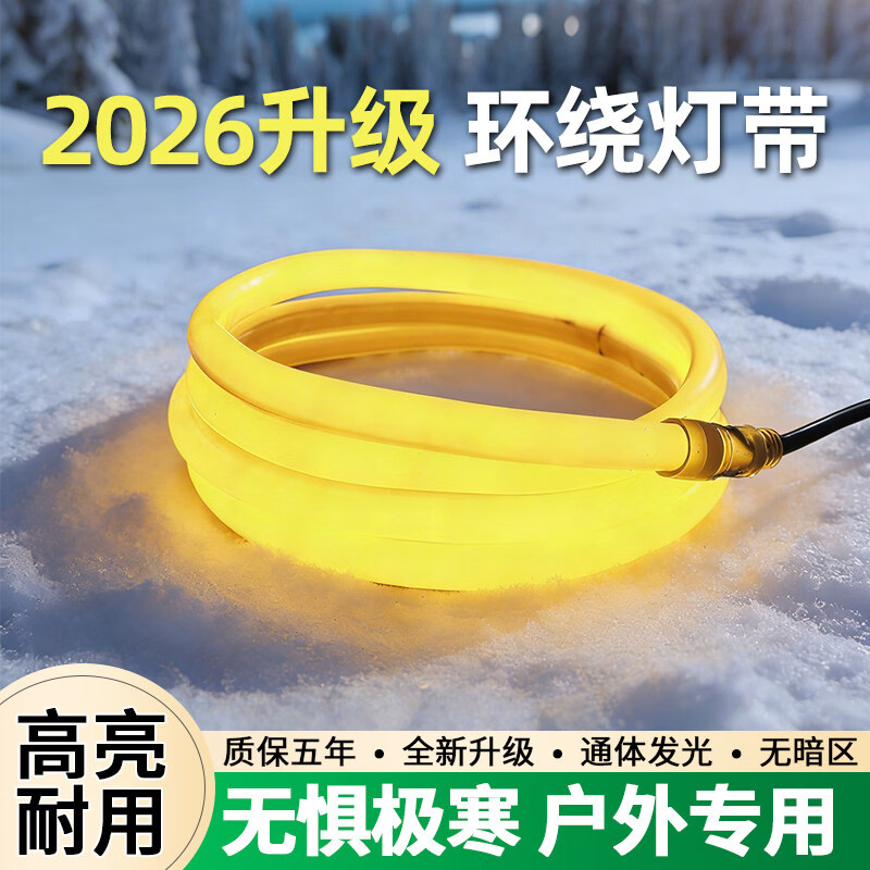 拉伯塔新款春节氛围装饰防水防寒防冻灯带超亮别墅外墙亮化门头彩灯条 360°发光【1米】需另购插头 白光