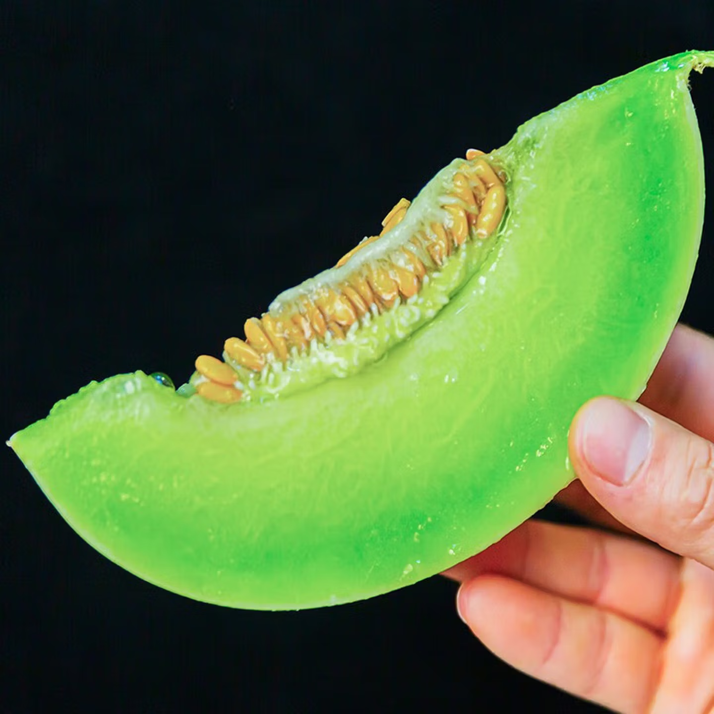 季节集冰淇淋玉菇甜瓜奶香蜜新鲜水果当季冰淇淋脆甜香瓜孕妇A 净重4.5-5斤丨2-3个【冰淇淋口感】