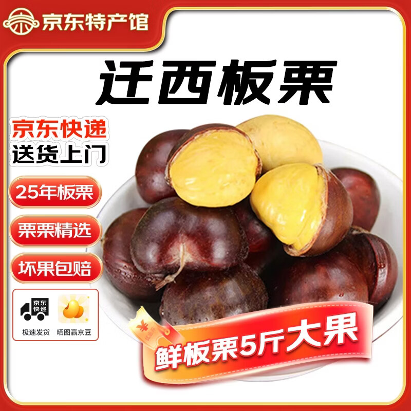 迁西鲜板栗2025年新生板栗大颗粒特选栗子新鲜例子甜栗子河北唐山特产 老树板栗 净重 5斤 大果1元硬币大小（约40-45粒/斤）