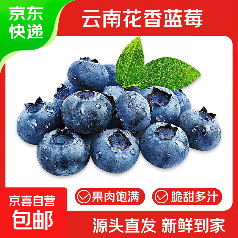 云南花香蓝莓L25当季新鲜现摘高山脆甜水果孕妇宝宝辅食新年礼物 4盒 源头直发【100g/盒】 精选中果【单果15mm+】