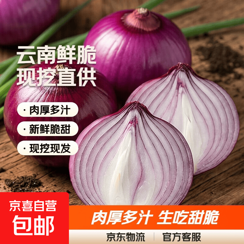 京喜加云南新鲜洋葱脆甜洋葱紫红皮洋葱肉厚多汁新鲜生吃甜脆现挖批发 洋葱2斤带箱