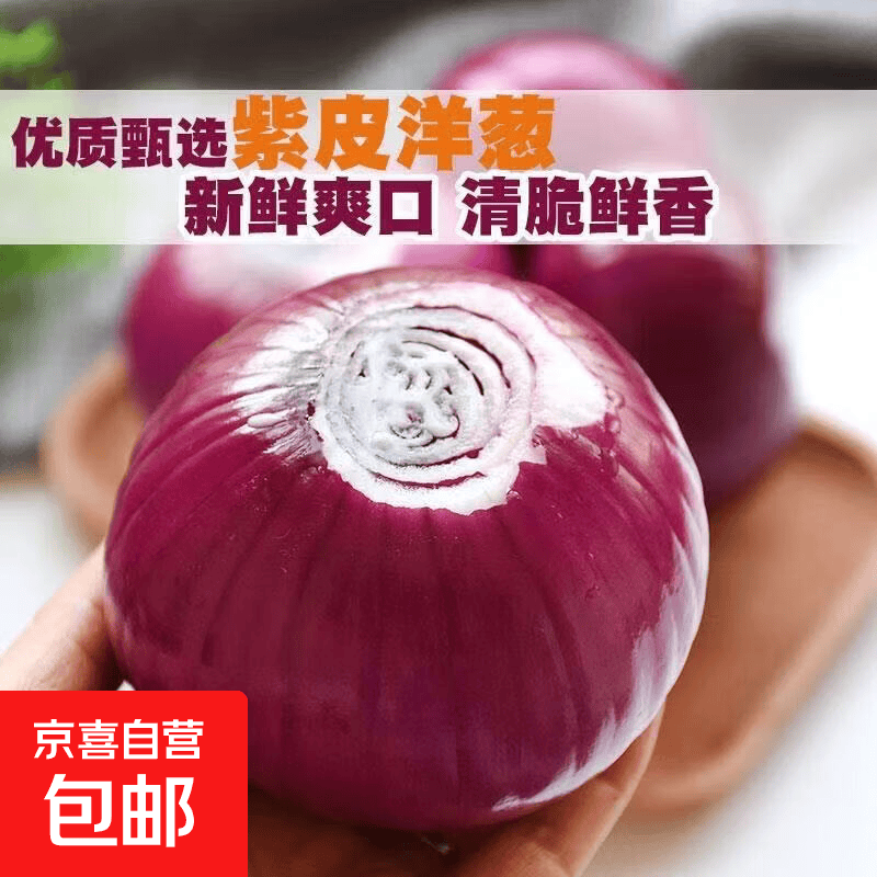 紫皮洋葱新鲜蔬菜圆葱大葱头扁洋葱农家自种生吃凉拌辛辣甘甜翠爽 洋葱带箱1斤 单果均100-500g
