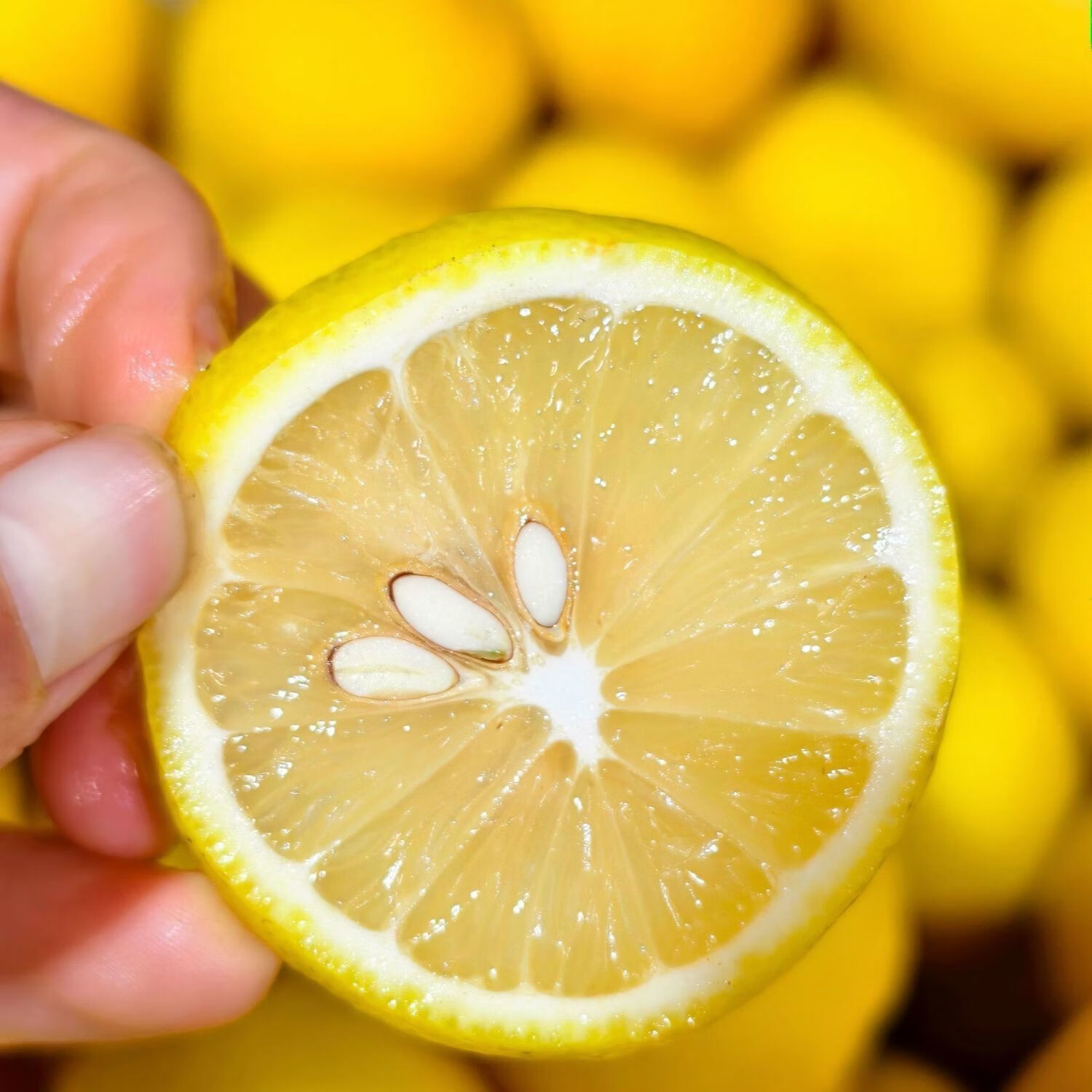 安岳柠檬（ANYUE LEMOM）四川安岳黄柠檬9斤新鲜水果当季现摘皮薄一级香水柠檬小青柠 70—120 安岳黄柠檬带箱5斤［保鲜膜包装］