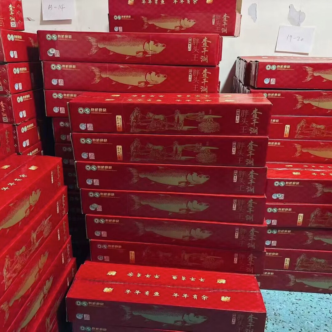 查干湖渔场直采冬捕胖头鱼年货礼盒活鱼速冻7到30斤整条假一赔十 30斤 胖头鱼镇店之宝，一鱼一码，保证正品，假一赔十