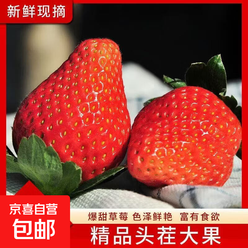 �������ͺ���99��ݮ 4��װ ����200g-300g ����12g+ ��ũ����ժ�ַ� 19.9Ԫ