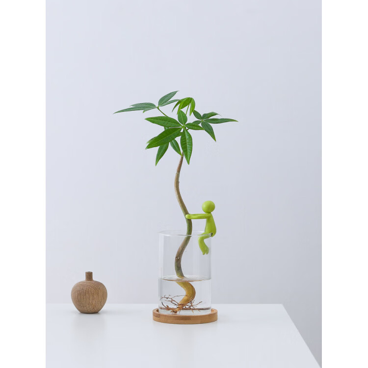 胖东来同款发财树水培盆栽客厅书房桌面办公室内四季懒人好养绿植 单杆发财树-圆筒杯-扶手小人 含盆