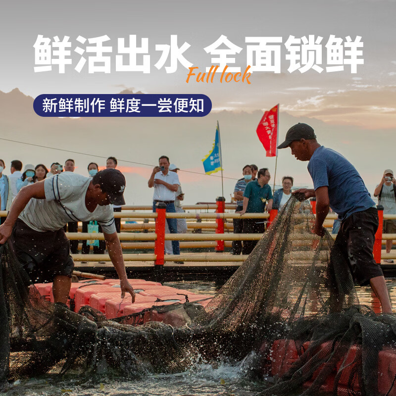 三都港三去黄花鱼宁德正宗大黄鱼冷冻生鲜海鲜水产海鱼烹饪食材鱼类新鲜 三去黄花鱼2条共300g