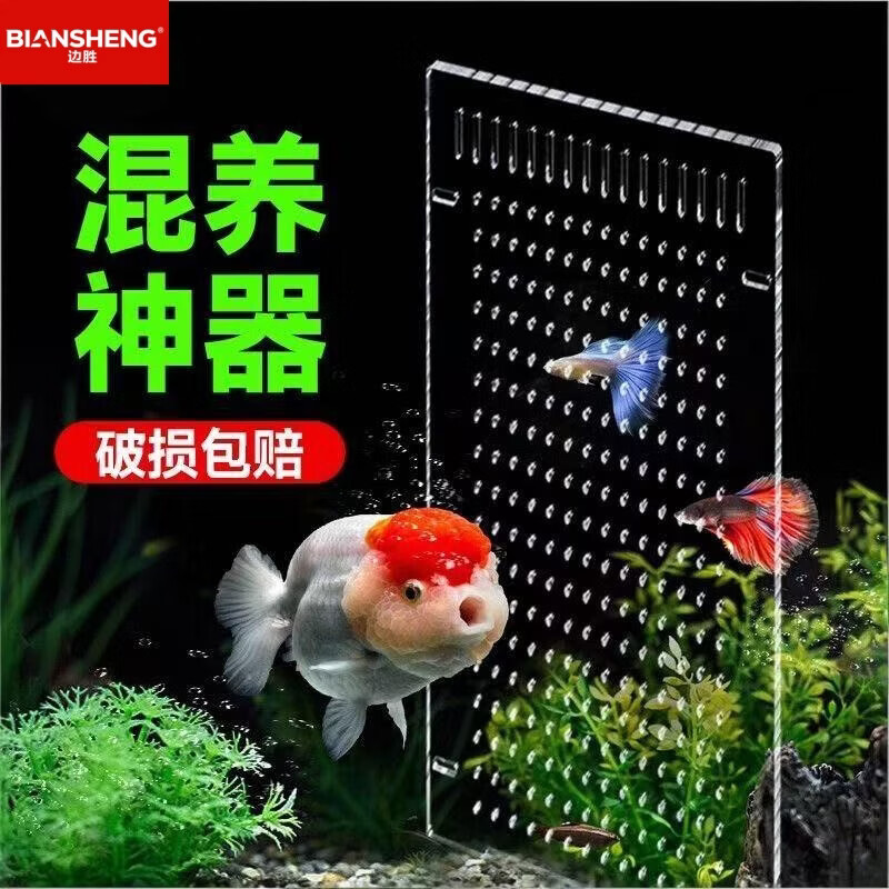 边胜鱼缸隔离板定制透明亚克力斗鱼孔雀鹦鹉苗网格分离隔断挡板水族箱 【高透明】宽19x高20x厚2mm+8个吸盘