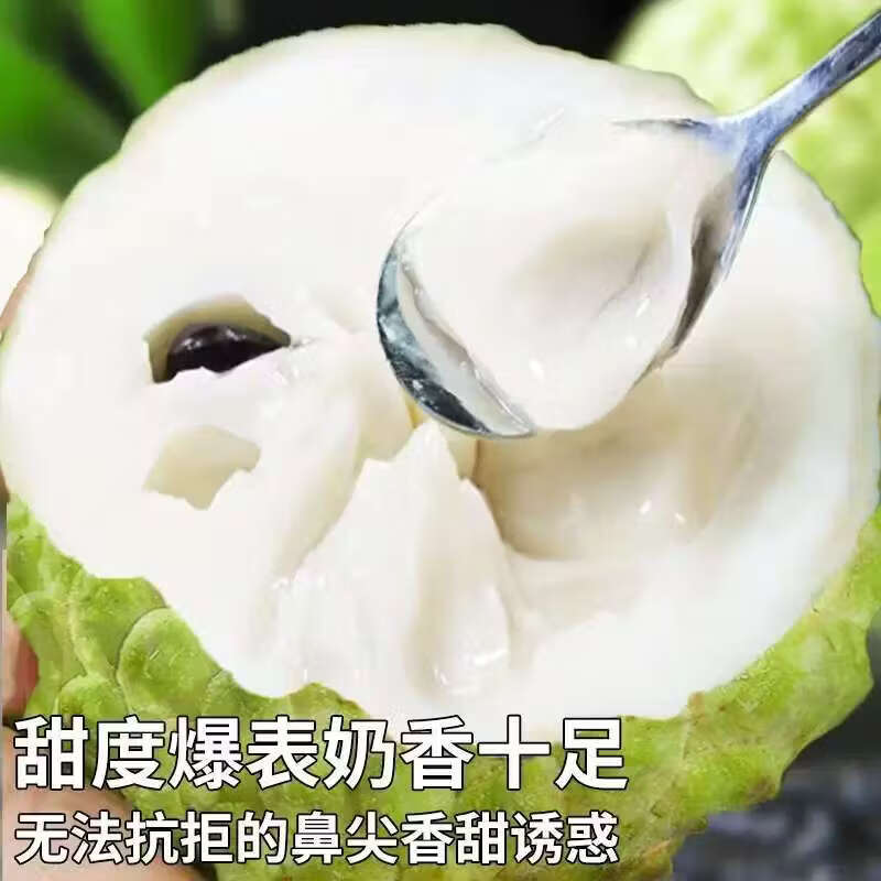 X-PLUS云南凤梨释迦果礼盒5斤巨无霸牛奶番荔枝新鲜水果京东配送 净果3斤 礼盒5粒【大果300g±50g】JD配送