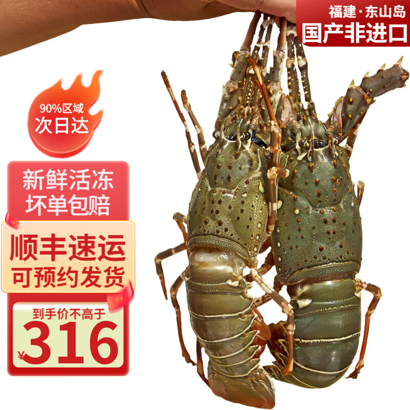 携宴福建小青龙虾大号龙虾海捕活冻大花龙海鲜除夕年夜饭春节送礼净重 3斤实惠装3-5只【更大只】