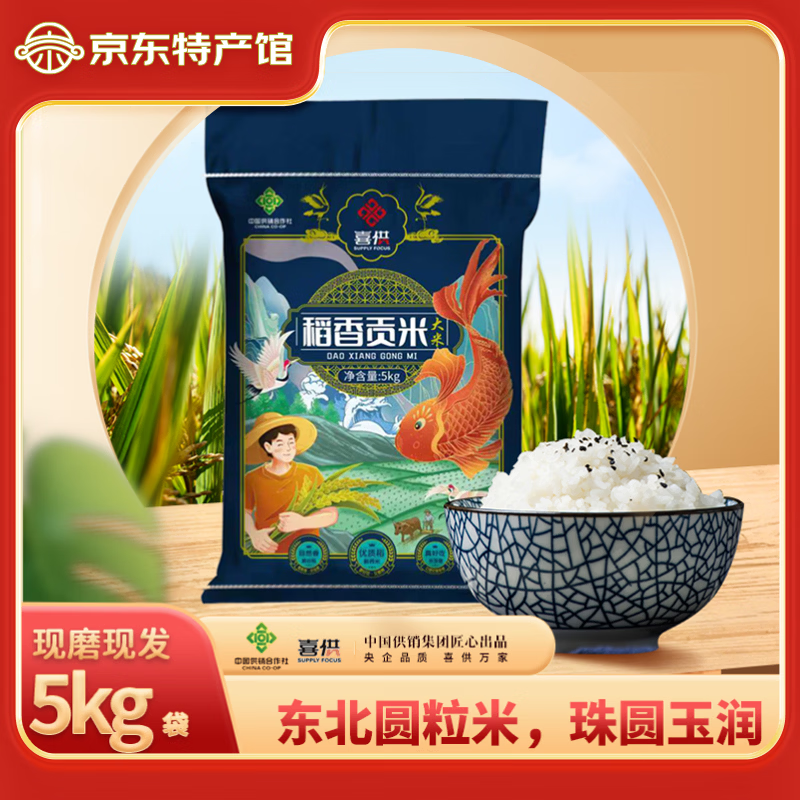 汤泉一品东北大米当季新米商超圆粒香长粒香米珍珠米黑龙江商超同款福利 东北稻香贡米（大米）5kg*1袋