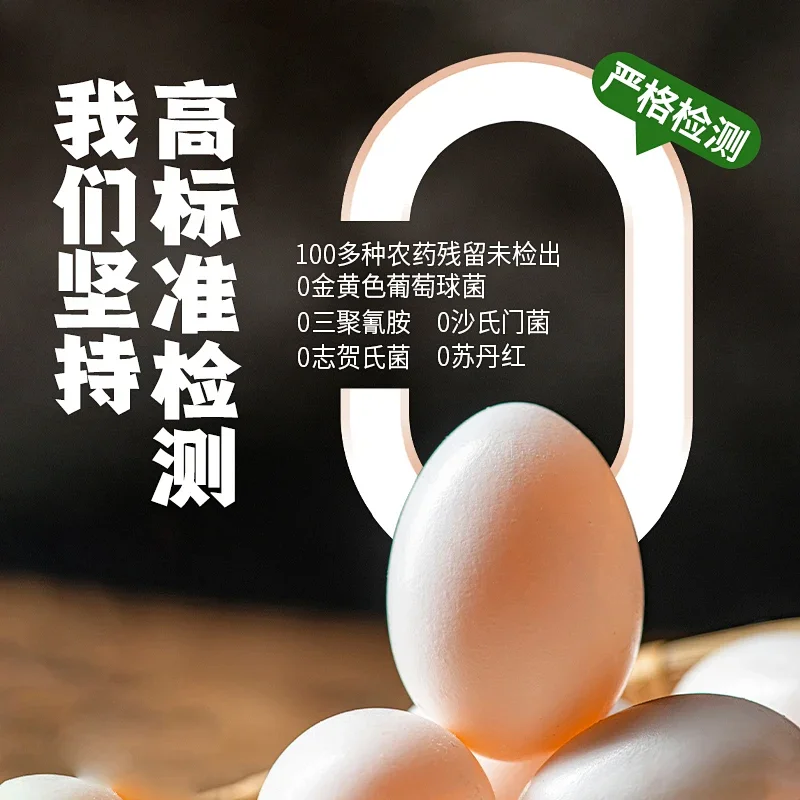 新疆120天慢养鸽子蛋健康放心蛋优质蛋白无腥味Q弹爽滑空运直发 30枚