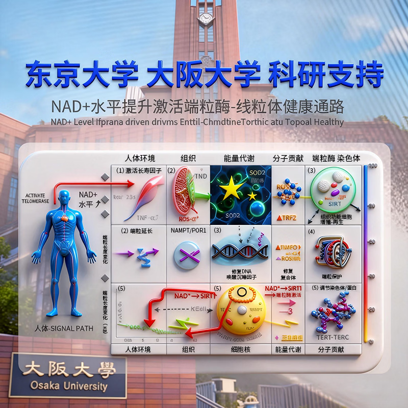 信和製薬日本原装进口nmnβ烟酰胺单核苷酸NAD+抗衰老保健品2026全新配方 【NMN21000】 60粒*1瓶 【赠1瓶20粒】