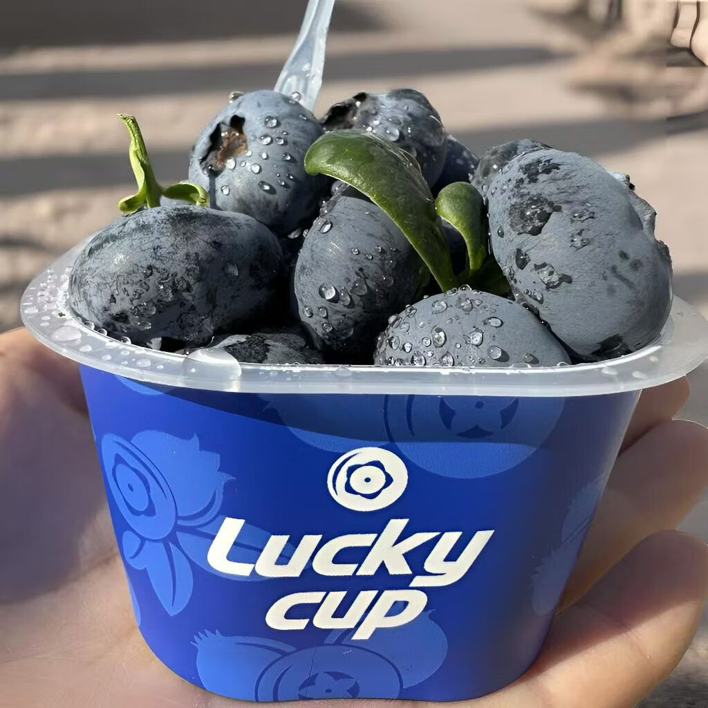 云南澄江抚仙湖花香蓝莓L25蓝莓脆甜天花板 特大果源头空运次日达 L25花香蓝莓400g*2桶装净重1.6斤+顺丰空运 中果15mm+