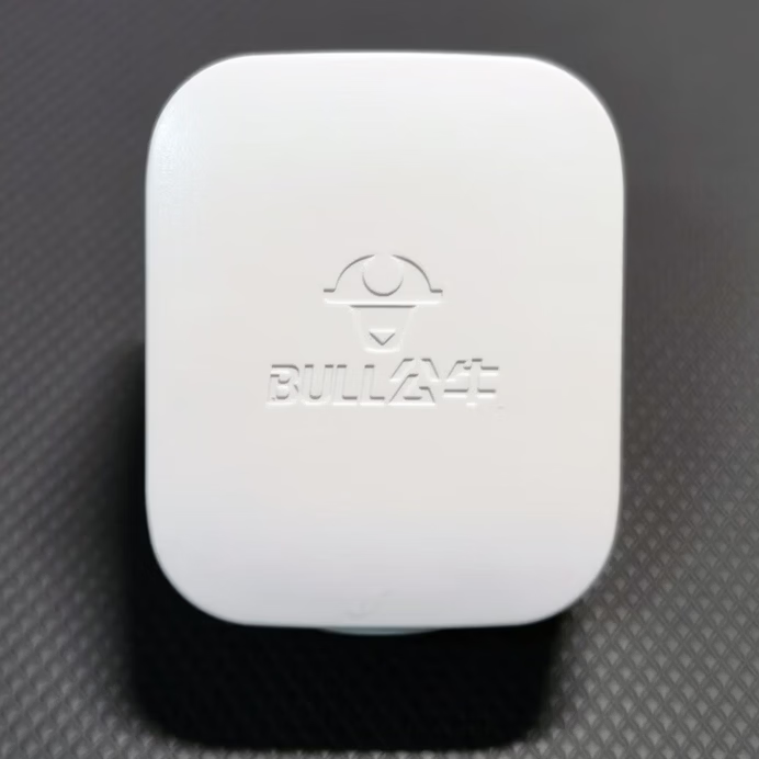 公牛(BULL) 插头 GNT-10S 10A
