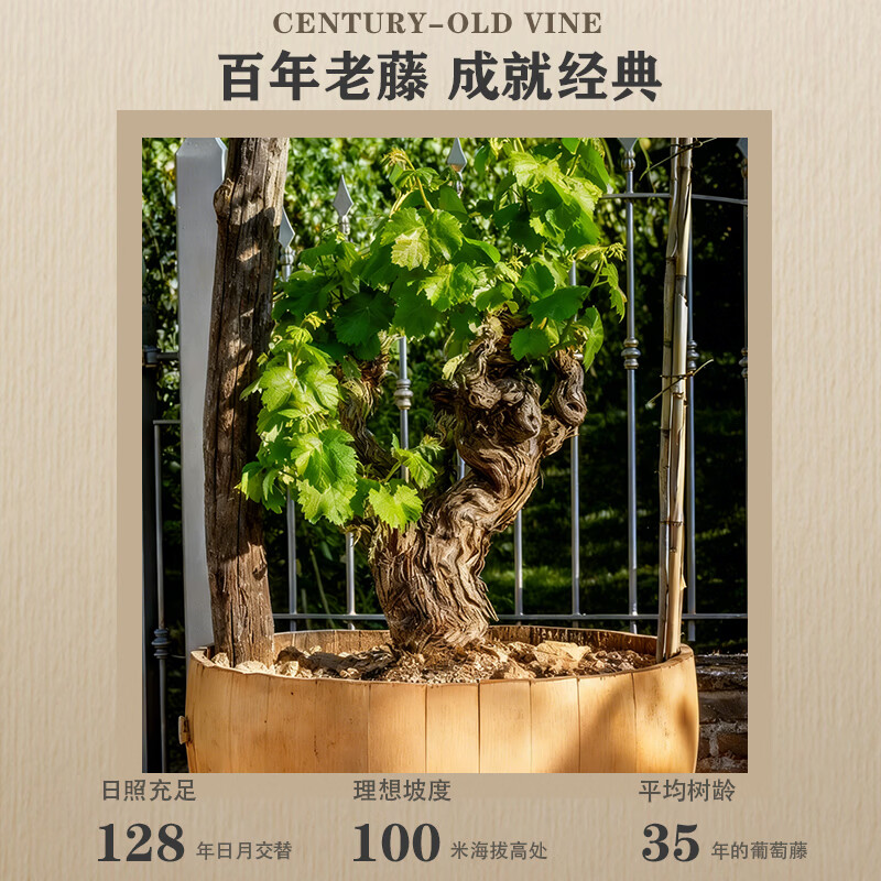 ACCORNERO意大利原瓶进口柏诗福庄园玛罗尼红葡萄酒干红 送礼750ml 柏诗福庄园玛罗尼红葡萄酒6瓶