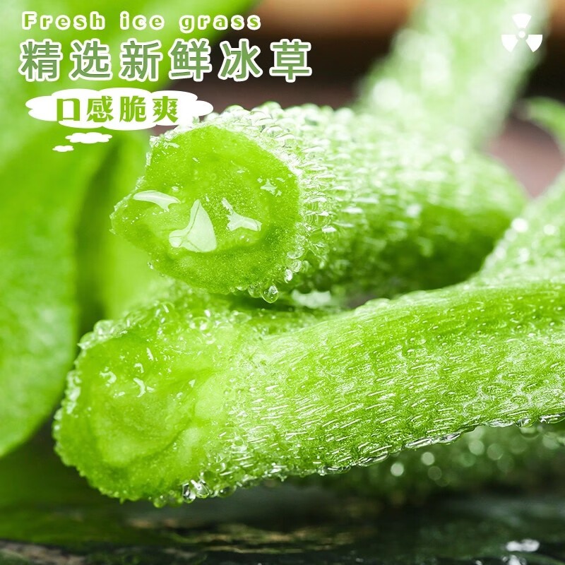 绿熊庄园新鲜冰菜冰草沙拉菜火锅即食生吃生菜凉拌菜新鲜蔬菜现摘冰叶整箱 净重2斤