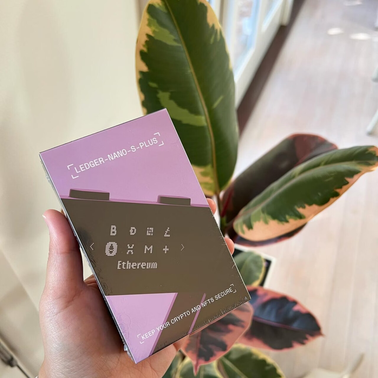 Ledger Sp硬件存储安全冷钱包收纳盒，送助记词板