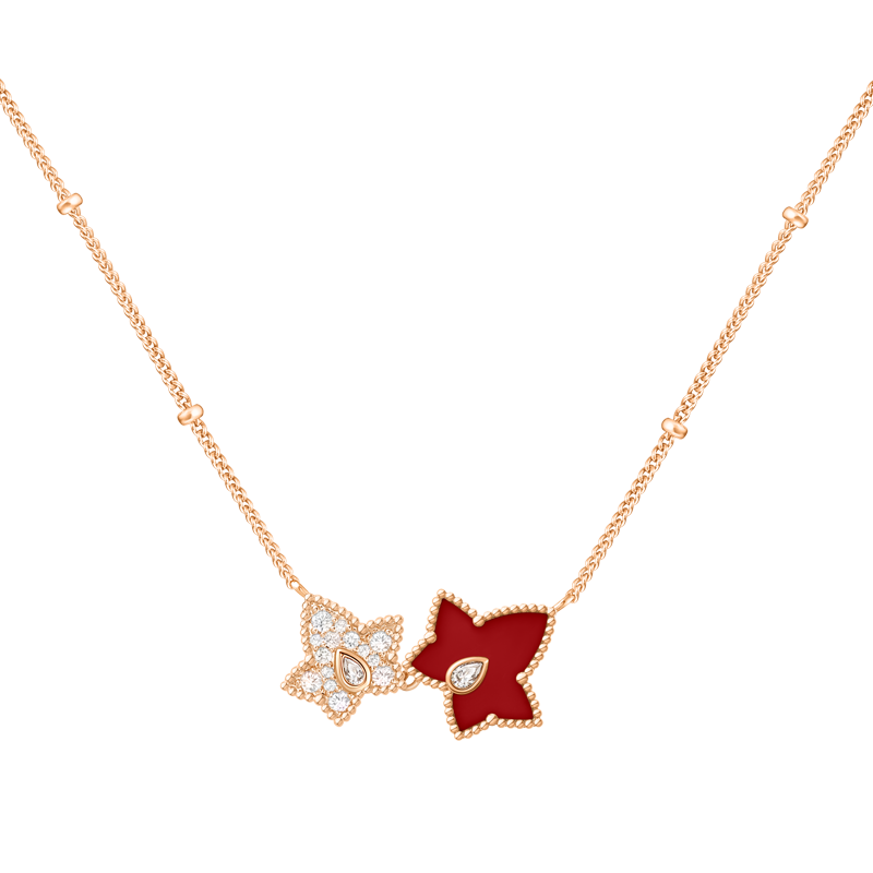 LOLA ROSE����õ�塾�����޶�������������Ů�������������˽�������Ů��