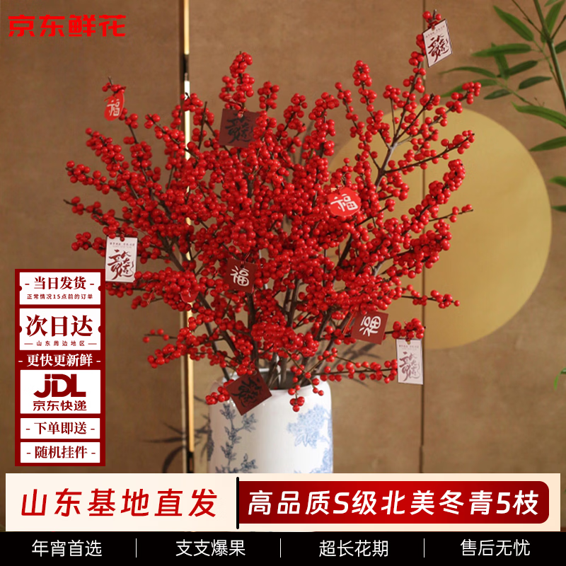京东鲜花S级【北美冬青】5枝新春年宵花红发财果招财鲜枝山东基地源头直发