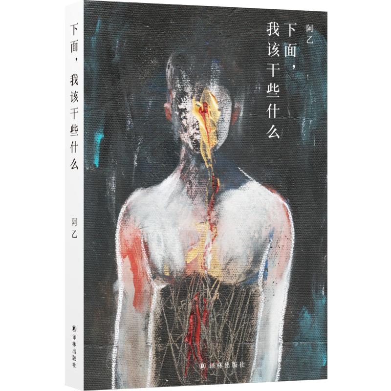 下面,我该干些什么/阿乙