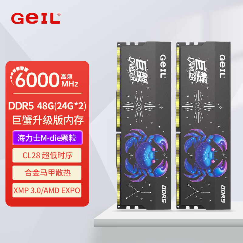 GEIL金邦巨蟹 DDR5内存条 台式机电脑内存条 5代内存条 马甲条 RGB灯条 运行内存条套条 适配9800X3D 海力士Mdie 48G(24GX2)6000灰C28