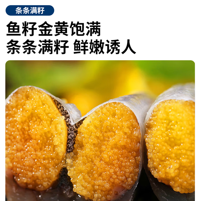 朵芙满籽多春鱼  特大多籽多春鱼净重 约30条/斤多子鱼烧烤食材海鲜 【4斤】满籽多春鱼-约25-30条/斤