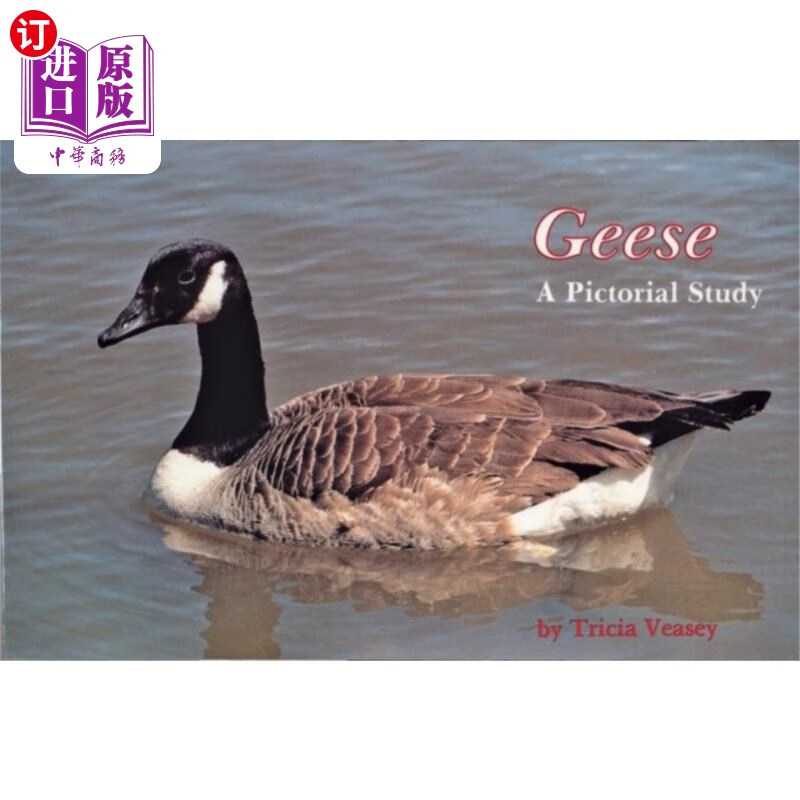 海外直订geese: a pictorial study 鹅:画报研究