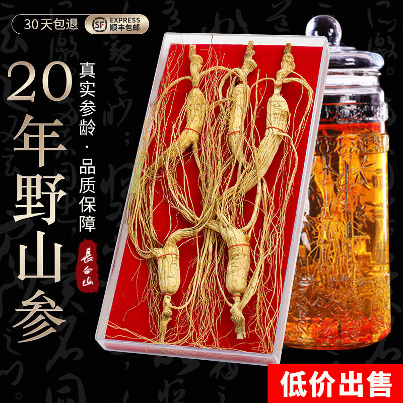 【同款特级野生人参30年】吉林长白山林下籽参整枝煲汤泡水 【礼盒装】约30年2支装 2支*1盒 正宗长白山30年林下籽参 野外撒籽 自然生长高品质
