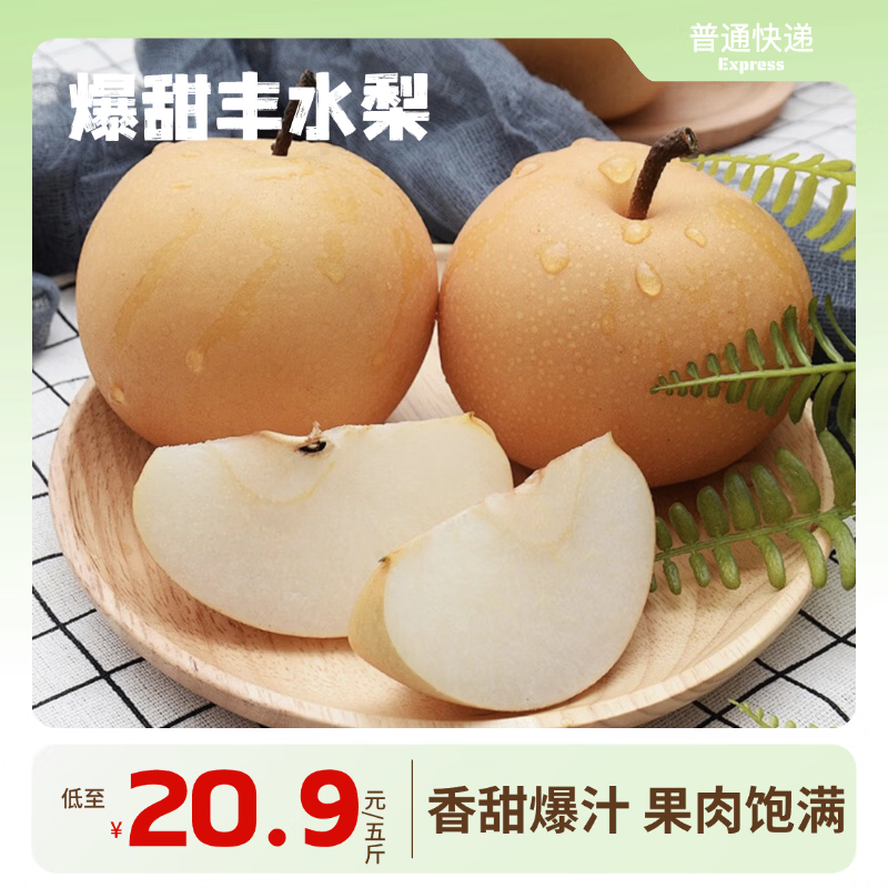 山东冰糖圆黄梨丰水梨南水梨 脆甜多汁新鲜水果 送礼佳品 5斤【推荐】单果约350g+ 净4.5斤｜4-6颗