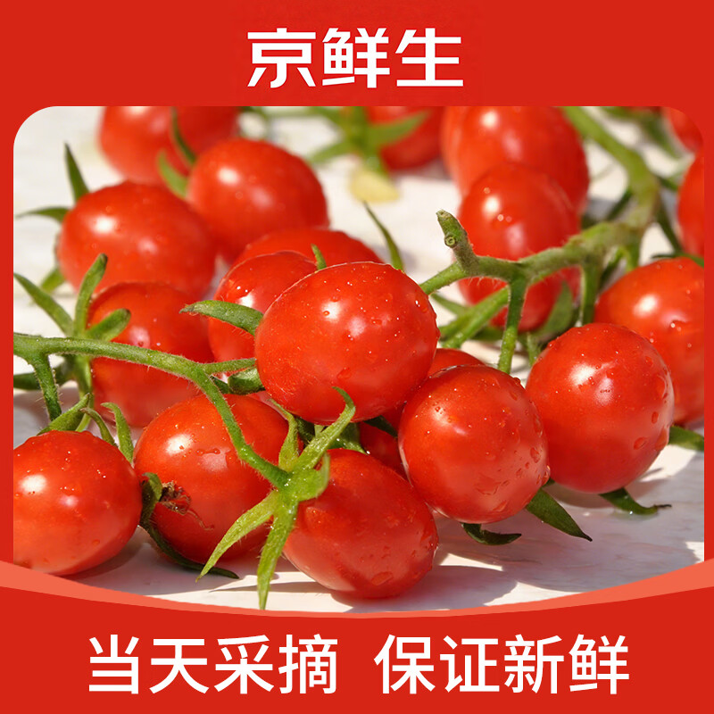 京鲜生 电白千禧小糖豆番茄1.8斤单果4g+冰糖千禧新鲜水果蔬菜 源头直发