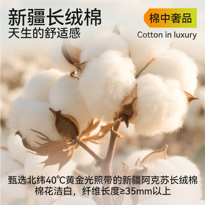 尼多熊男童内裤儿童棉质平角裤男孩四角短裤男宝宝不夹PP中大童底裤 汽车小熊 【超值推荐款】 3条 120 【建议体重34-42斤】