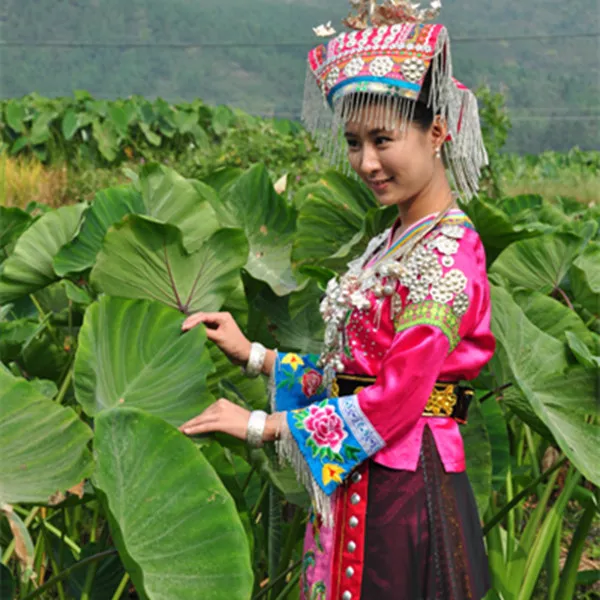 【正宗江永香芋】湖南永州特产农家新鲜芋头槟榔芋新鲜大芋头 净重9斤特大果3-5个
