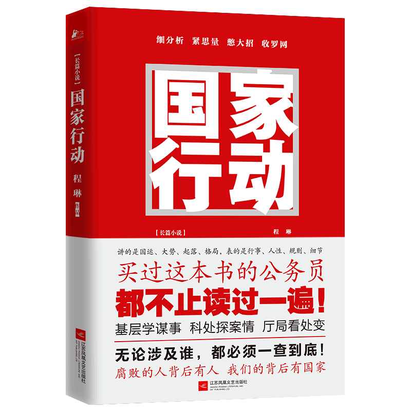 正版包邮 国家行动 长篇小说中国当代 图书