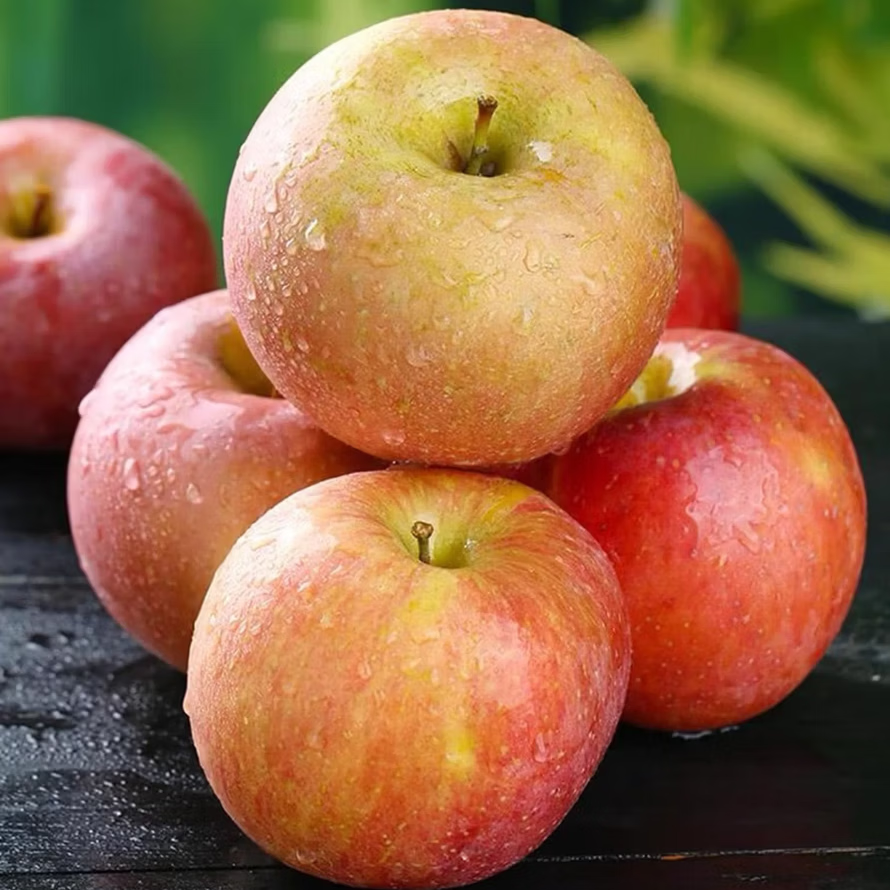 佑嘉木陕西膜袋富士苹果丑苹果新鲜水果脆甜多汁 果径70+ 净重4.5斤