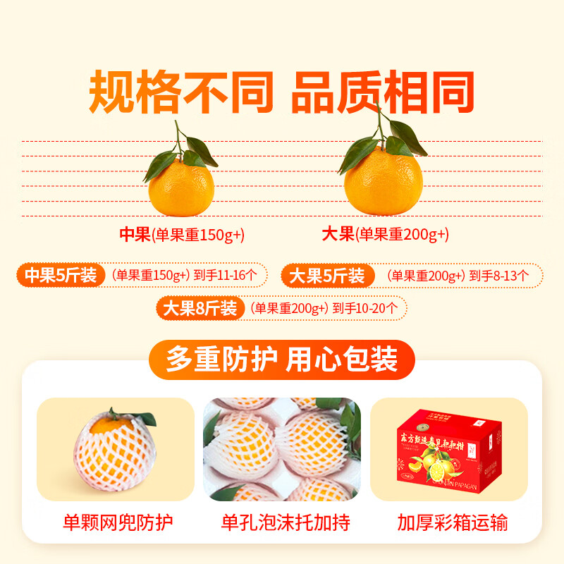 东方甄选春见耙耙柑 5斤/8斤装 自然酸甜 坏果包赔 5斤大果(200g+ 到手约8-13个)