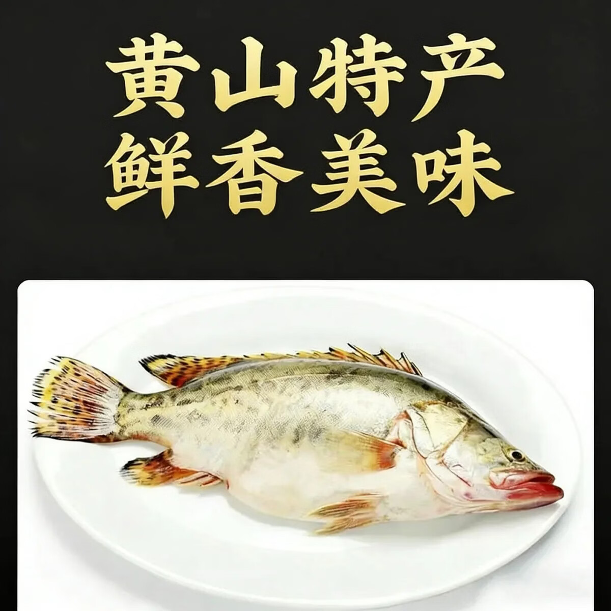 正宗安徽黄山臭鳜鱼新鲜净膛腌制桂鱼特产厂家直销送人饭店批发 1.0-1.1量3条 标鱼