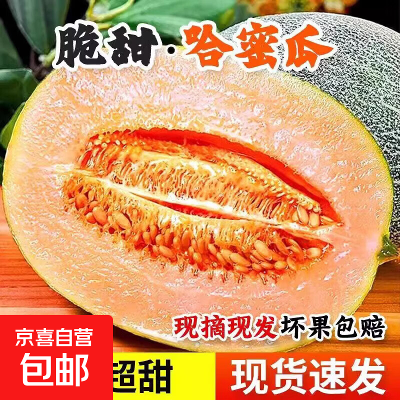 海南沙地哈密瓜西州蜜哈密瓜晓蜜25号当季蜜瓜【活动链接】 带箱2斤单果600克以上尝鲜装